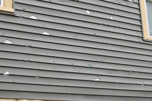 Best Aluminum Siding Installation  in White Hall, IL